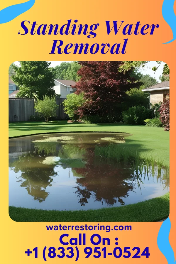 Standing Water Removal in Florence, KS